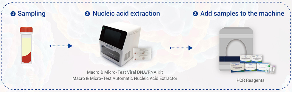 Virus del dengue I II III IV Kit de detecció d'àcids nucleics6