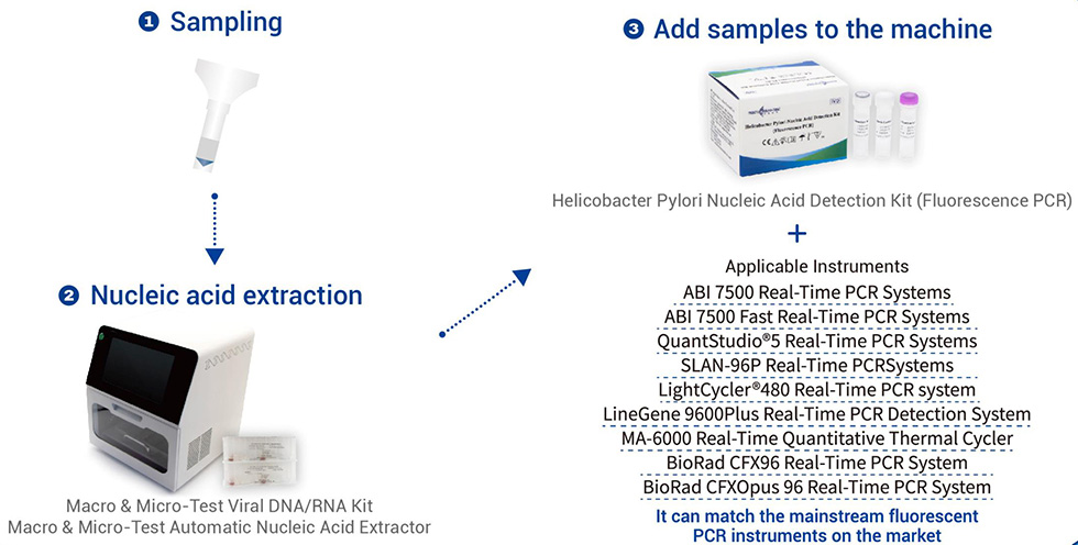 Helicobacter Pylori Nucleic Acid Detection Kit(Fluorescence PCR)6